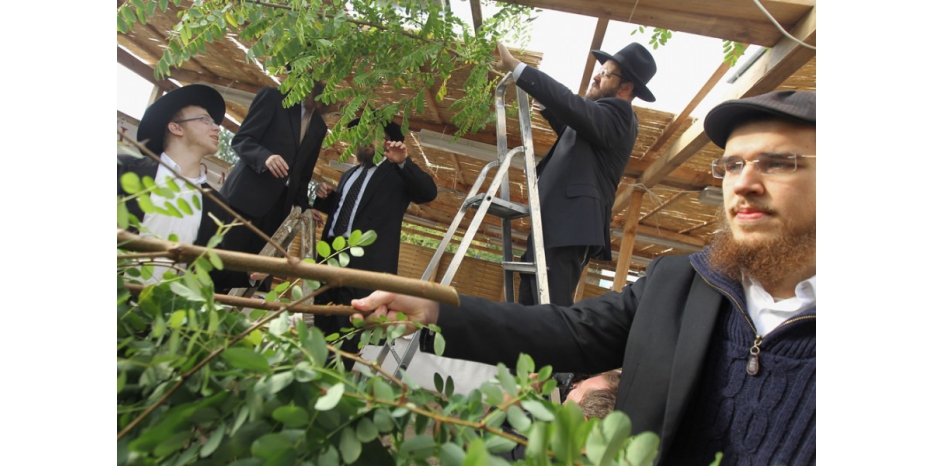 Готовимся к празднику Суккот. Как построить сукку