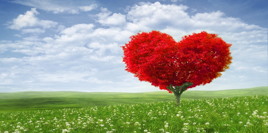 15 Ава – еврейский «День влюбленных»