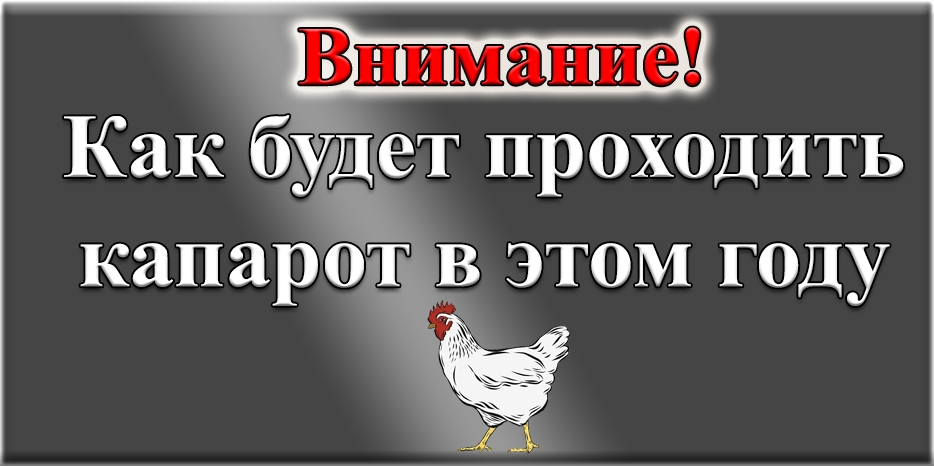 Особенности проведения капарот в этом году