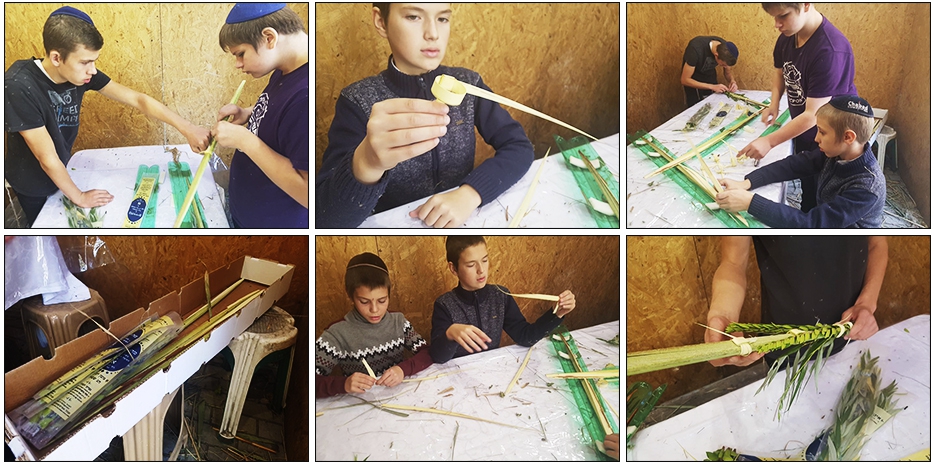 Шесть наборов «арба миним» – в подарок пансиону «Байт леБаним»