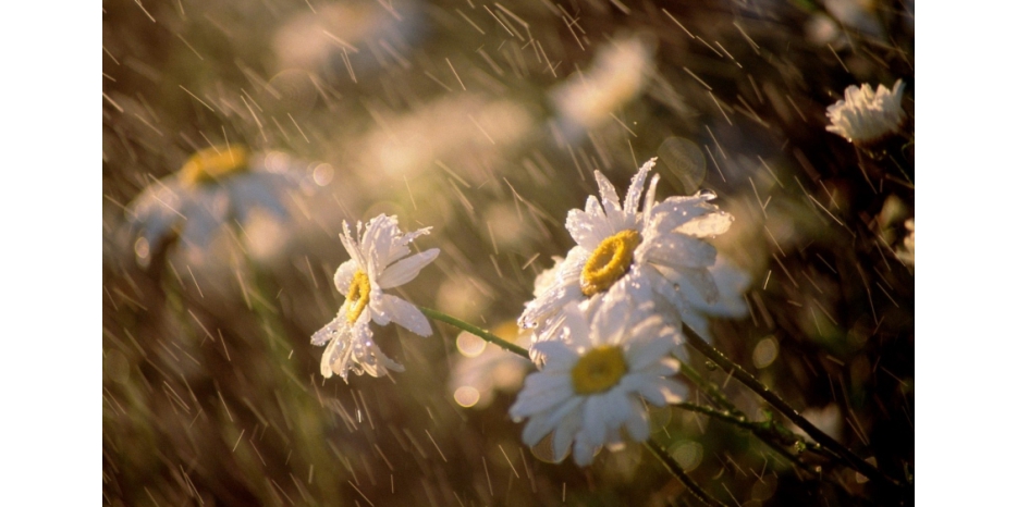 Шмини Ацерет – праздник после праздника