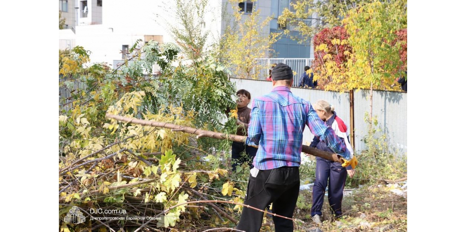 Еврейская община ведет благоустройство территории на улице Литейной