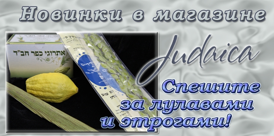 Спешите за лулавами и этрогами в магазин «Иудаика»!