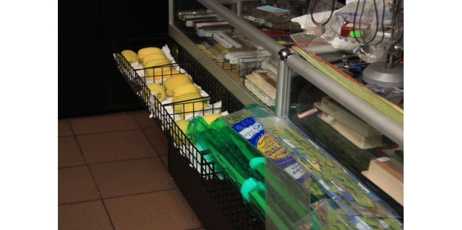 Спешите за лулавами и этрогами в магазин «Иудаика»!