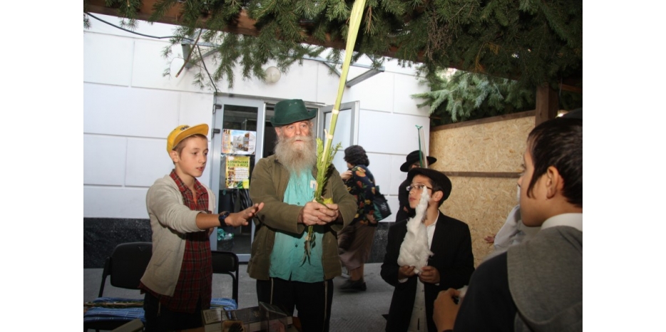 В шалашах кипит жизнь