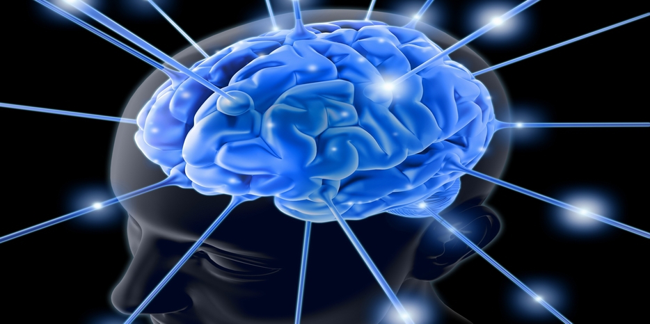 Еврейский IQ – в диаспоре и на исторической родине. Попытка сравнительного анализа Исаака Розовского