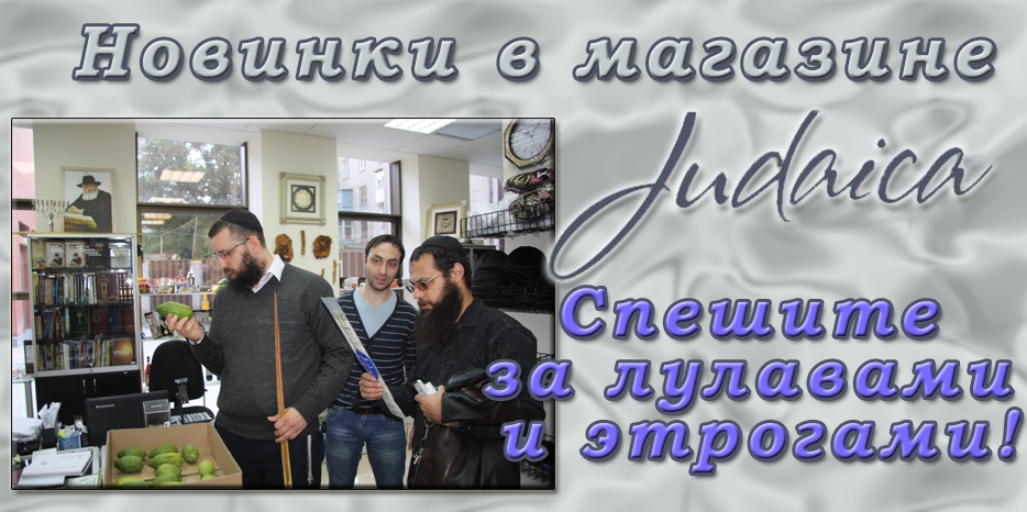 Спешите за лулавами и этрогами в магазин «Иудаика»!