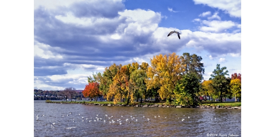 Город Арарат