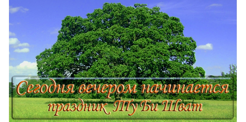 Сегодня вечером начинается Ту Би Шват
