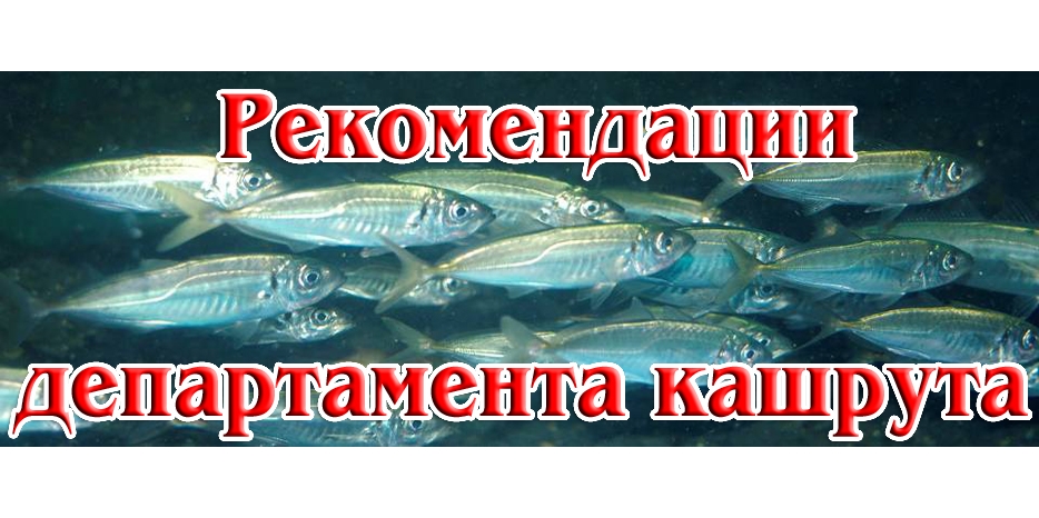 Сообщение Департамента кашрута о вопросах приобретение рыбы на Песах