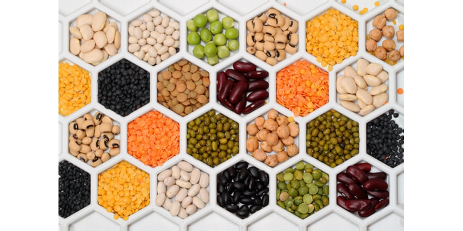 Сегодня вечером состоится «Шалом Зохар» в честь новорожденного сына Акивы и Йохевед-Хаи Дячишиных