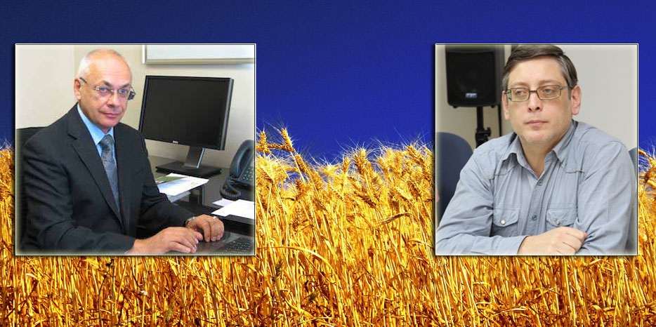 «Что же будет с Родиной и с нами?» На вопрос Юрия Шевчука отвечают украинские историки