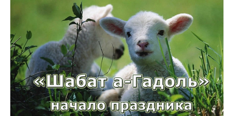 Наступающая суббота носит титул «Великой» - «Шабат а-Гадоль»