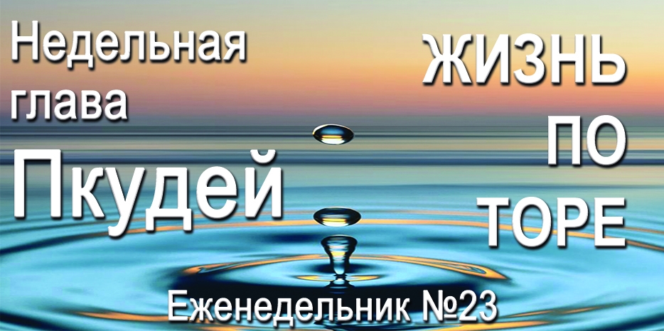 Еженедельник «Жизнь по Торе» для общин «Бней Ноах» в Украине на недельную главу «Пкудей»