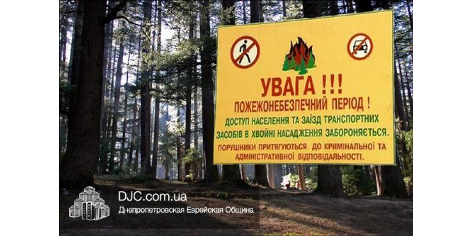 Ходить в лес – запрещено