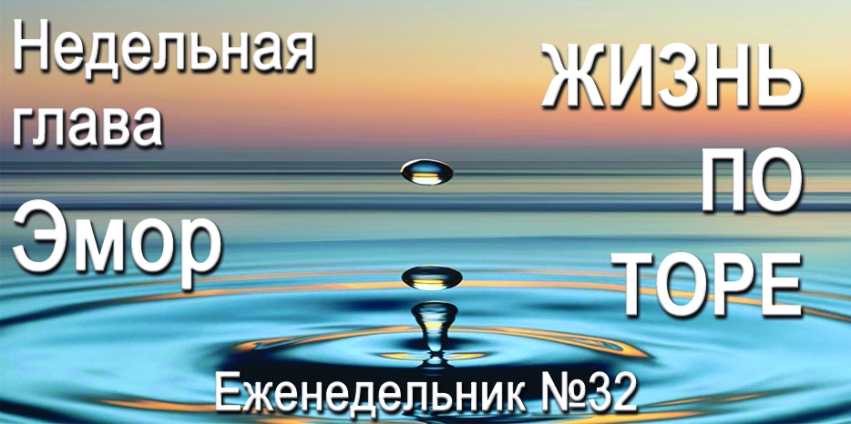 Еженедельник «Жизнь по Торе» для общин «Бней Ноах» в Украине на недельную главу «Эмор»