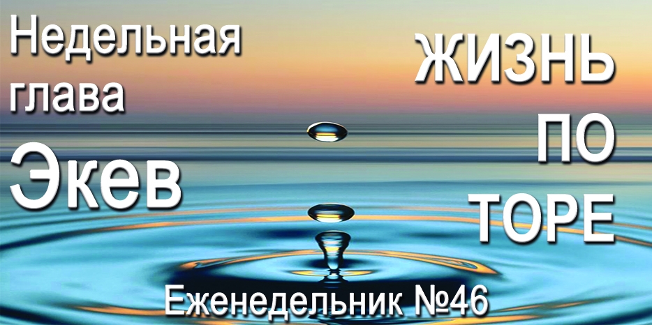 Еженедельник «Жизнь по Торе» для общин «Бней Ноах» в Украине на недельную главу «Экев»