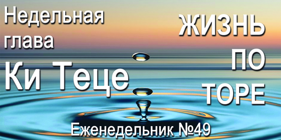 Еженедельник «Жизнь по Торе» для общин «Бней Ноах» в Украине на недельную главу «Ки Теце»