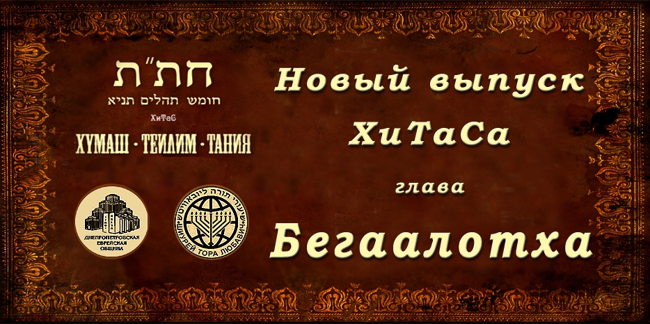 Новый выпуск ХиТаС на нашем сайте! Глава «Бегаалотха»