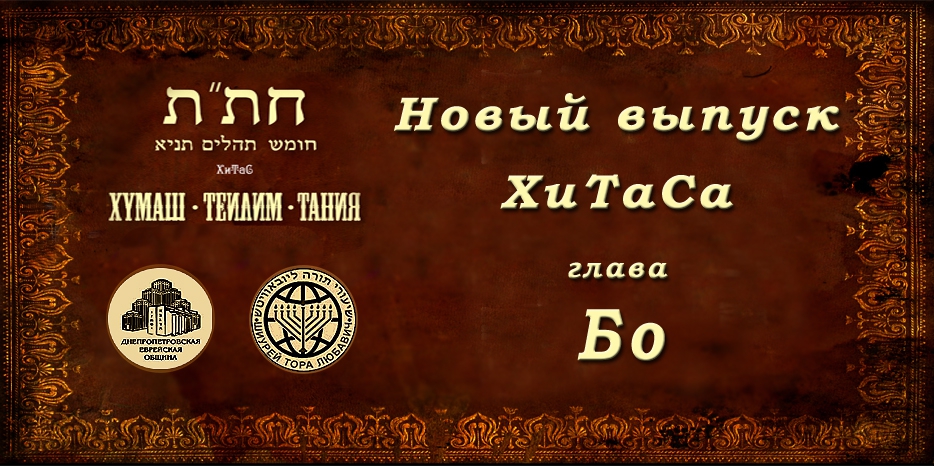 Новый выпуск ХиТаС на нашем сайте! Глава «Бо»