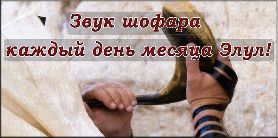 Настал Элул – слушаем шофар каждый день!