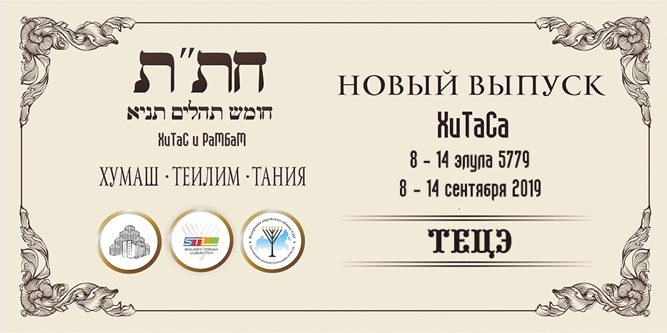 Новый выпуск ХиТаС на нашем сайте! «Тецэ»