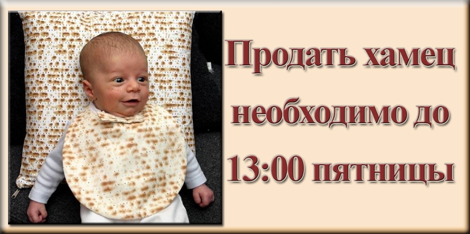 Продать хамец в Днепропетровске нужно успеть до 13.00 пятницы!
