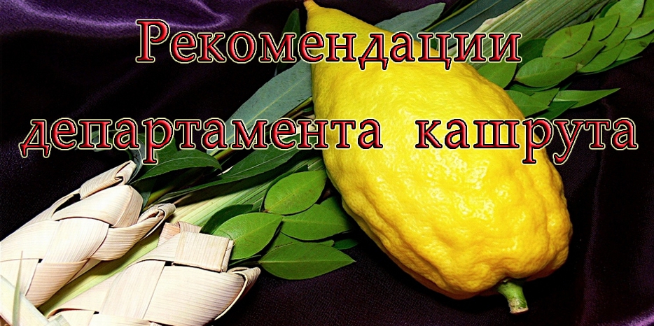Рекомендации департамента кашрута: «Как сохранить «четыре вида растений» свежими и праздничными во все дни Суккот»