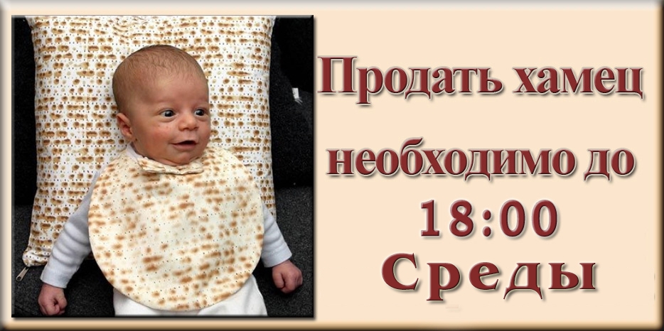 Крайний срок для продажи хамеца в этом году – среда