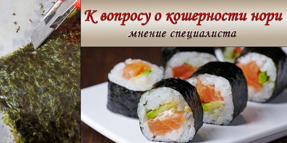 К вопросу о кошерности нори – мнение специалиста