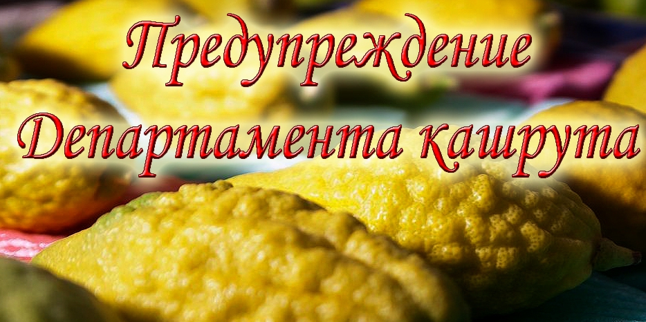 Департамент кашрута предупреждает об особенностях обращения с израильскими этрогами после Суккот