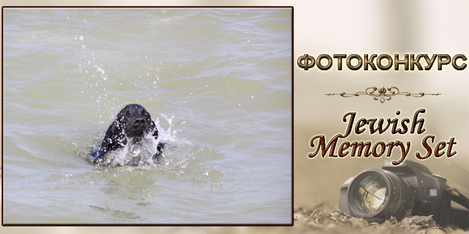 Фотоконкурс JMS: первый участник