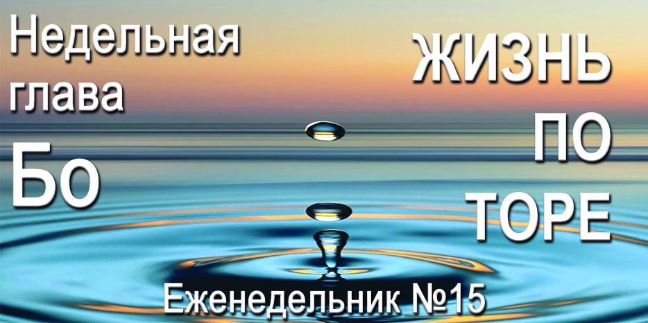 Еженедельник «Жизнь по Торе» для общин «Бней Ноах» в Украине на недельную главу «Бо»