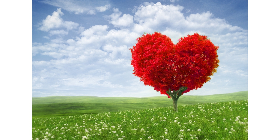 15 Ава – еврейский «День влюбленных»