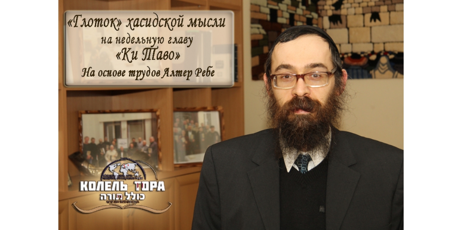 Видеоурок по недельной главе «Ки таво» с раввином Фурлендером