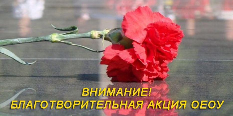 Вниманию евреев Украины! Стартует Акция финансовой помощи евреям-участникам Второй Мировой войны и жертвам нацизма